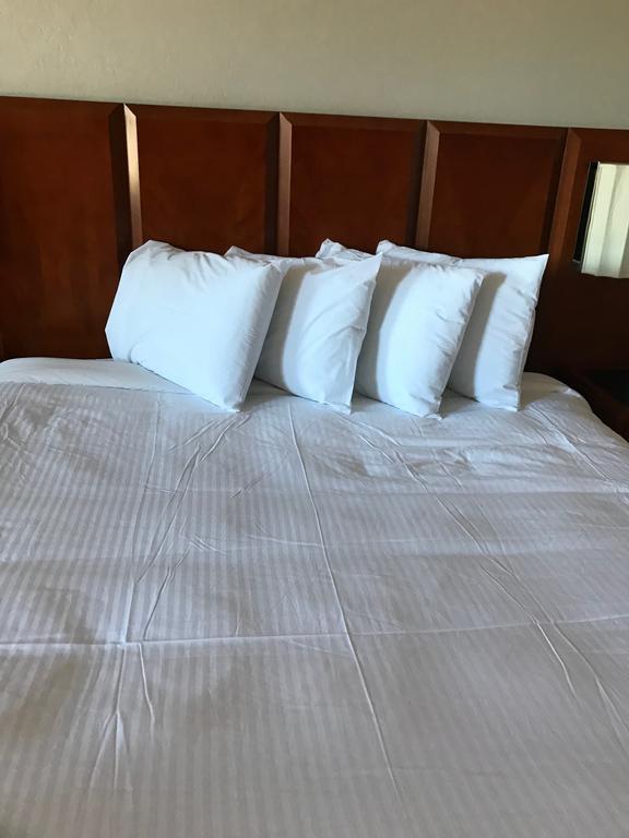 Extend-a-Suites Phoenix Buitenkant foto